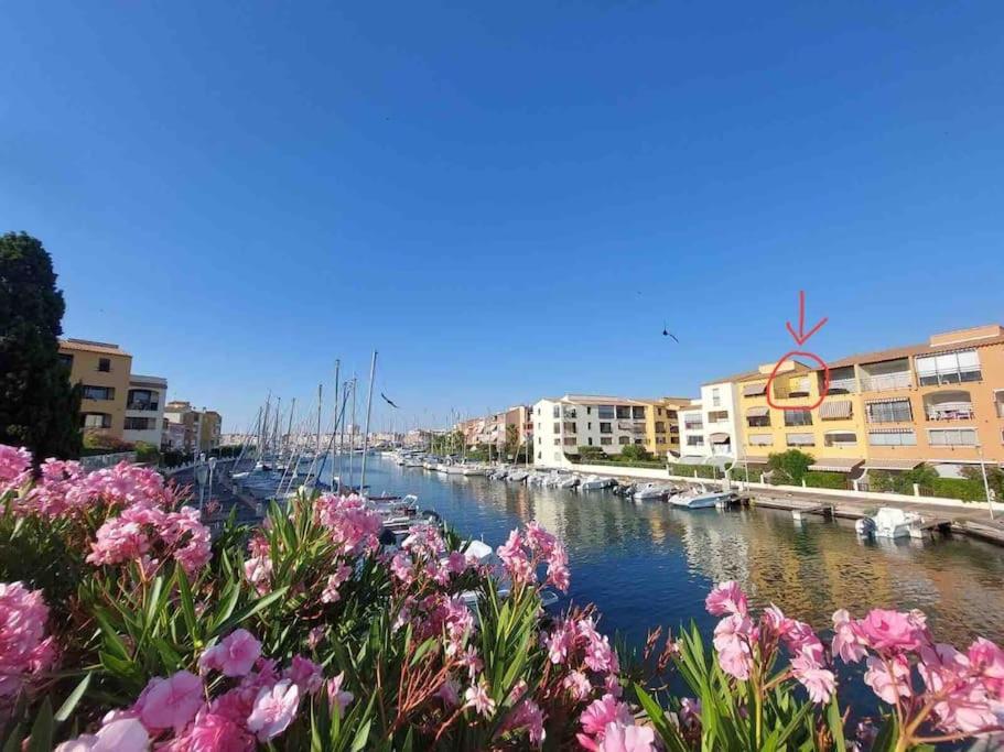 Cap'Nomad Studio Cote Port - Terrasse - Piscine - Parking Agde Dış mekan fotoğraf
