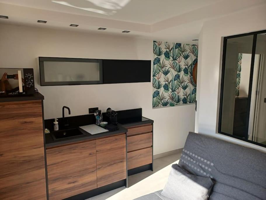 Cap'Nomad Studio Cote Port - Terrasse - Piscine - Parking Agde Dış mekan fotoğraf